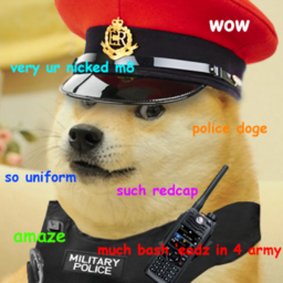 Robo doge army M.P H.Q