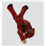 Lackofintelegence fan group