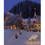 Aesthetic winters family