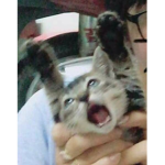 Geekedえ