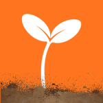 SproutSchool