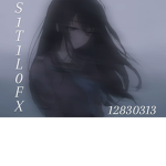 S1T1L0FX