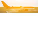 FlyBrenol™