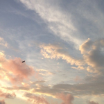 Sky Studios*
