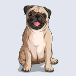 |~puggies club~|