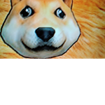 the doge group doges only