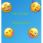 Ze Fan Group