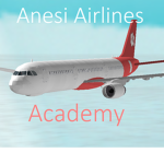 Anesi Academy