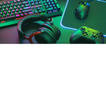 Te gaming bois