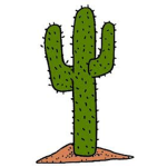 CactusSquad