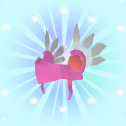 Item Catalog and Try on