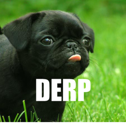 derp life :3