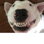 WORSHIP WALTER