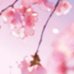 ៸៸ 🌸・ !