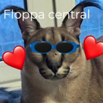Floppa Central