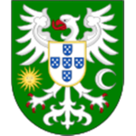 ~Senhorio de Aveiro~