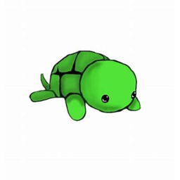 Turtle Hangout!
