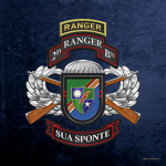 75th Ranger Regiment 2nd Ranger Battalion