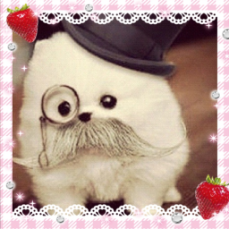 ๑´3`)/ !