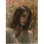 lanadelreyfanclub