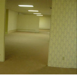 Escape the backrooms with monsters