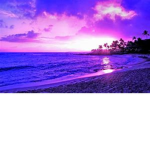 <Sunset Sophie>