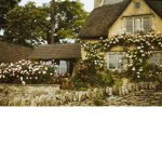 - The Element Village. -