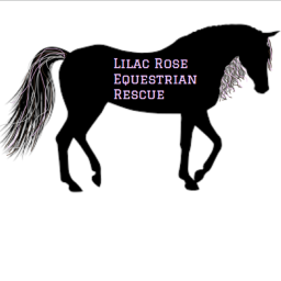 Lilac Rose Equestrian Rescue Centre (IN PROGRESS)