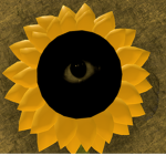 The eyeflower family