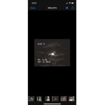 Elevengirl14