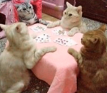 CHATTIE CHATTERS