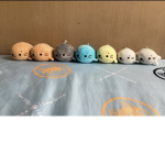 海豚國