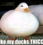 P_squad