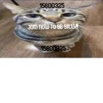 My Amigos69thousand69