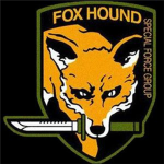 Fox Hound: Special force group