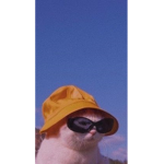 Lxmon