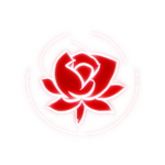 Scarlet 玫瑰