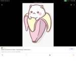Odd cats