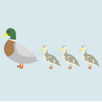 Ducklet squad