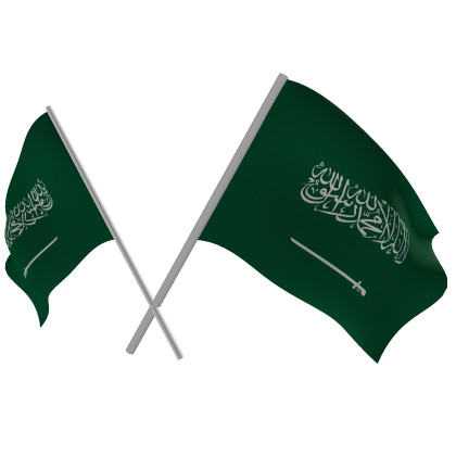 Saudi Arabia Double Flags