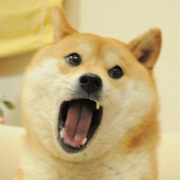 Halloween Doge Game
