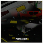 Palmas studio