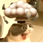 Epic Gamer Productions!