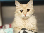 MEOW =D