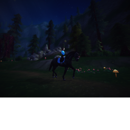 Flowerfield Stables