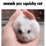 •ʀᴀᴛ ᴡᴀʀʀɪᴏʀs•
