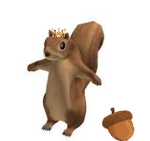 King Squirrels