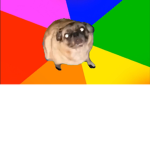 The pug dance yes sirr