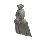 Poci's Cursed Shroud