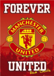 man utd fans